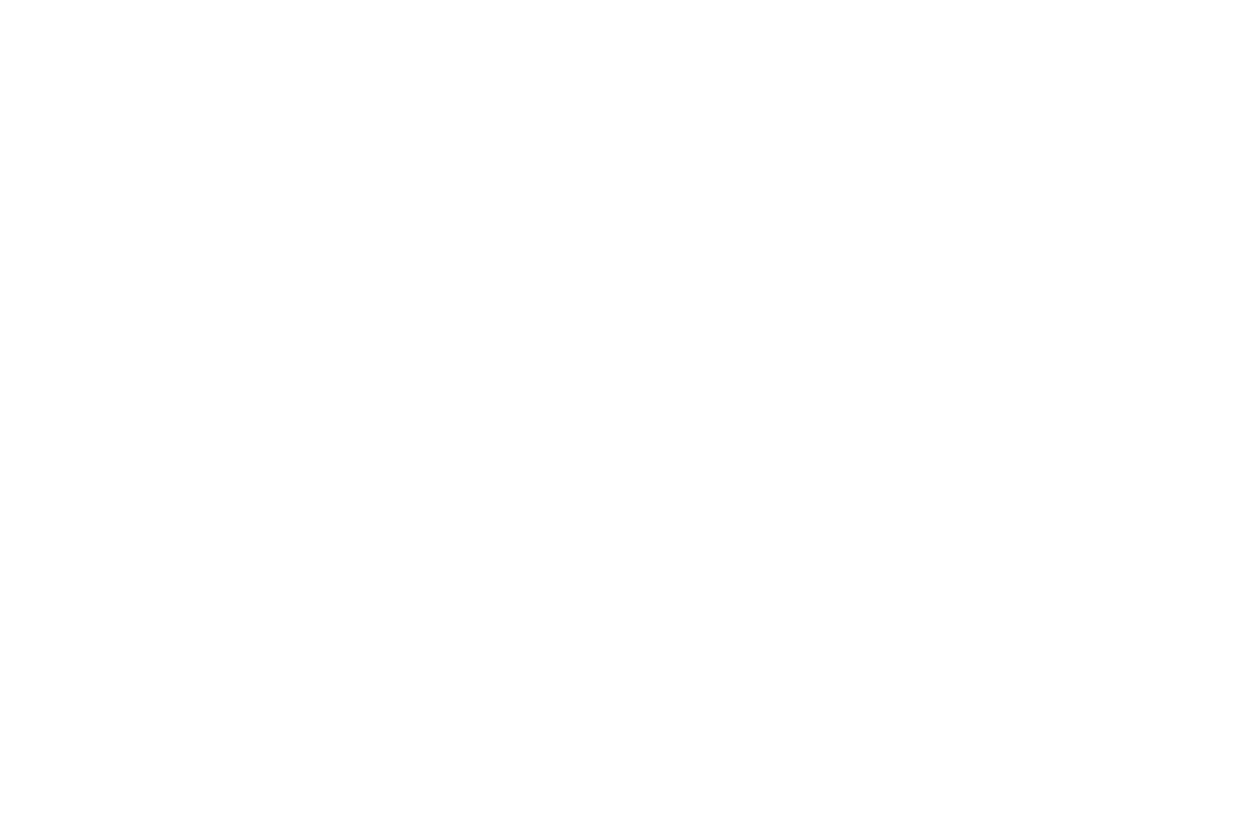 OFFICIAL COMPETITION - FANTASIA - 2018